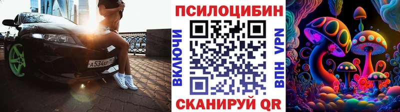 Галлюциногенные грибы Cubensis  купить  цена  Салаир 